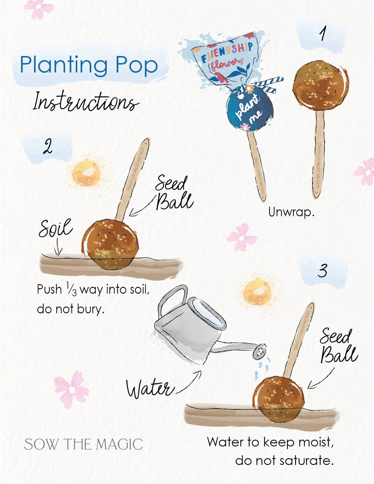 Gift Seed Planting Pop: Flowers