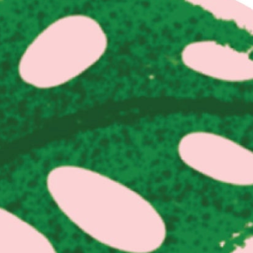 Plant Mama - Die Cut Sticker