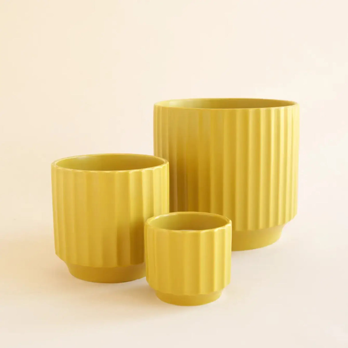 Monroe Planter | Palm : 4.5 inch