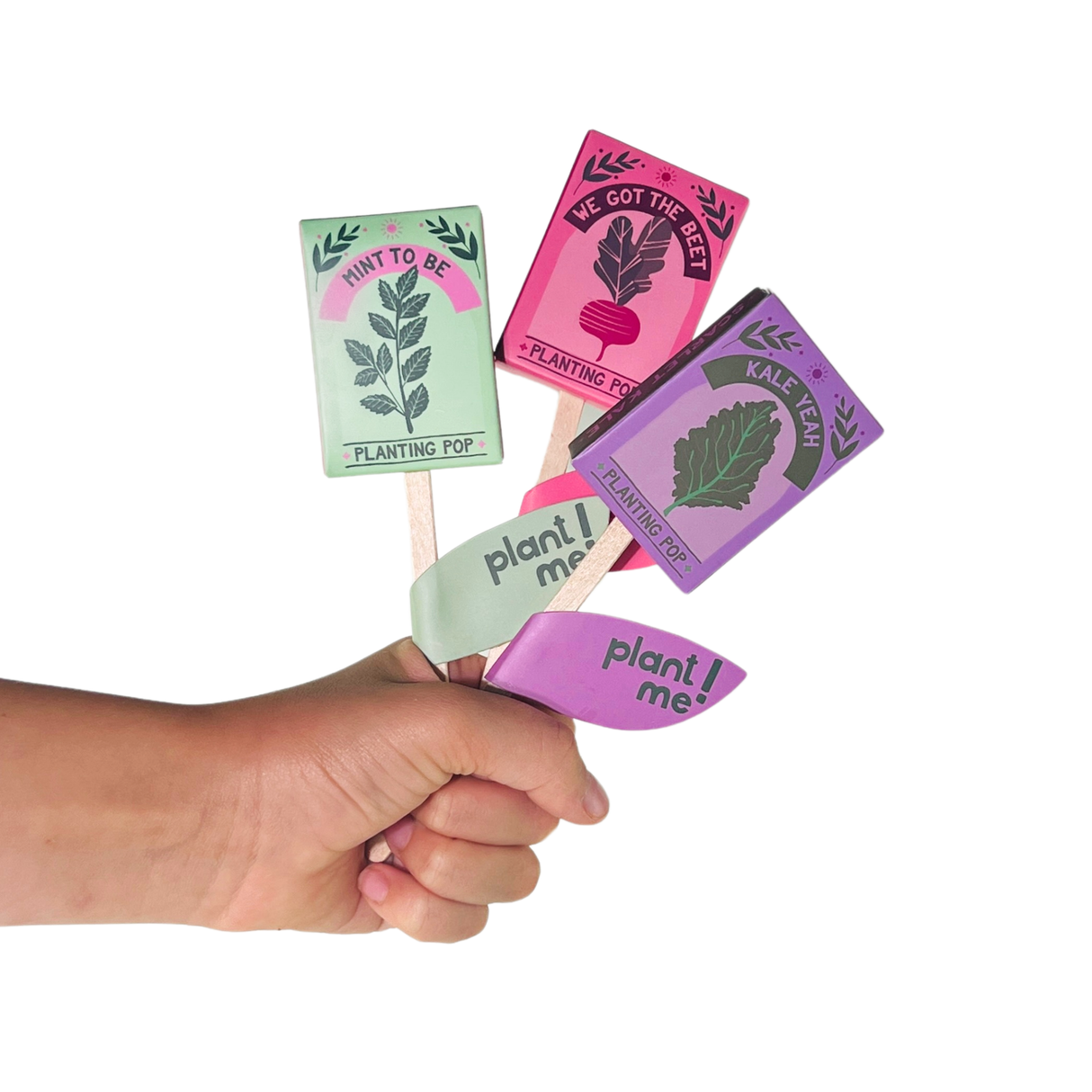 Gift Seed Planting Pop