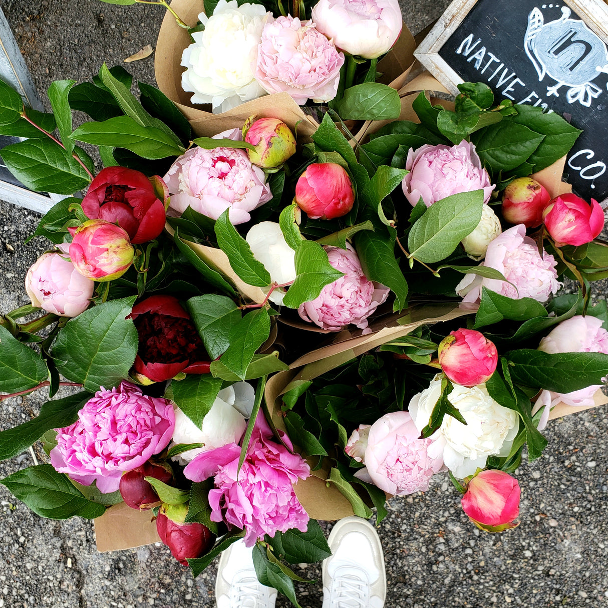 Peony Bundle Subscription