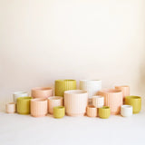 Monroe Planter | Palm : 4.5 inch