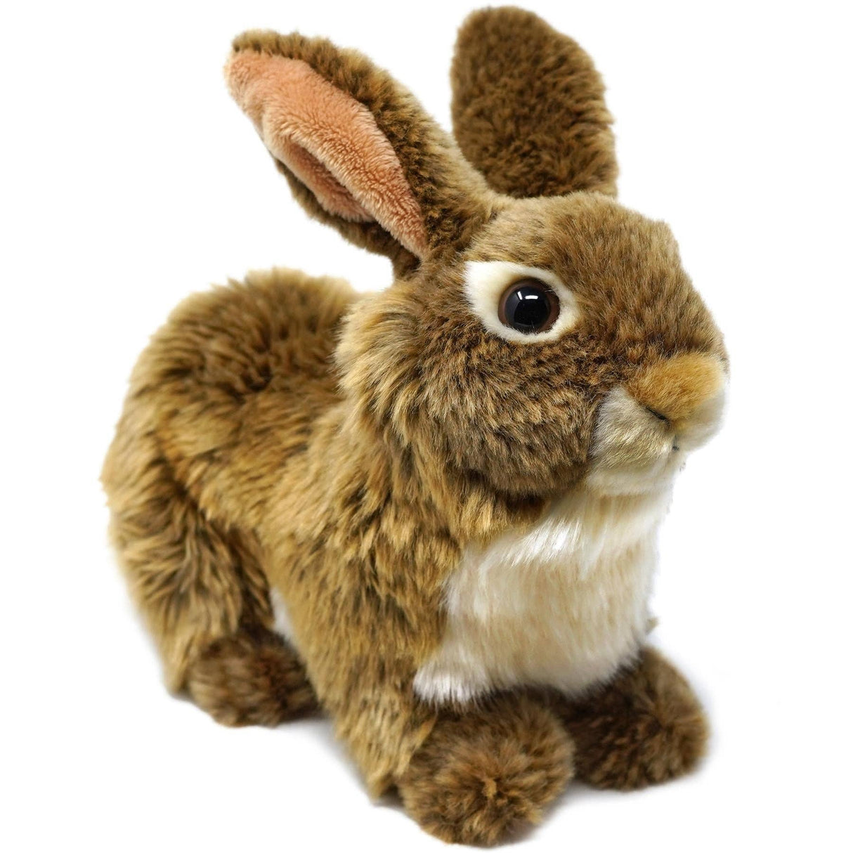 Brown Rabbit