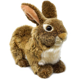 Brown Rabbit