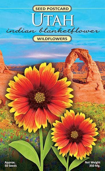 Utah Indian Blanketflower Wildflower Seed Packet