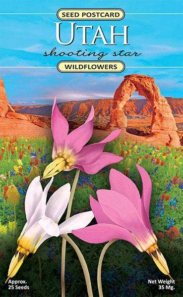 Utah Shooting Star Wildflower Seed Packet