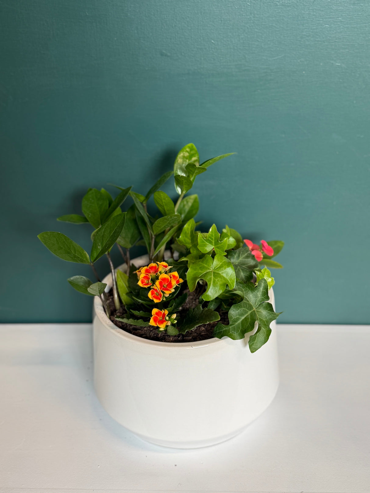 Dish Garden