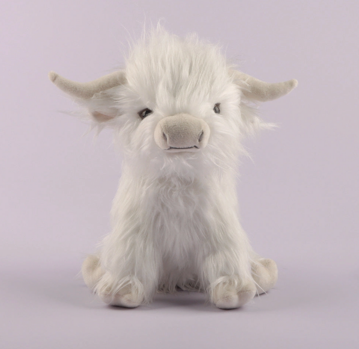 Highland Cow