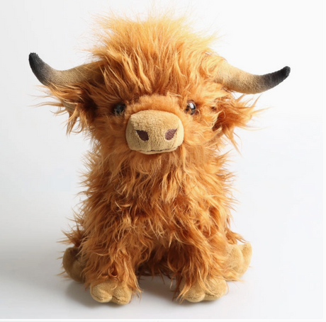 Highland Cow