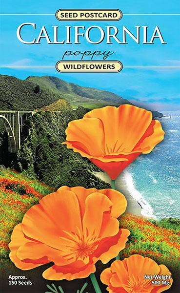 California Poppy Wildflower Seed Packet