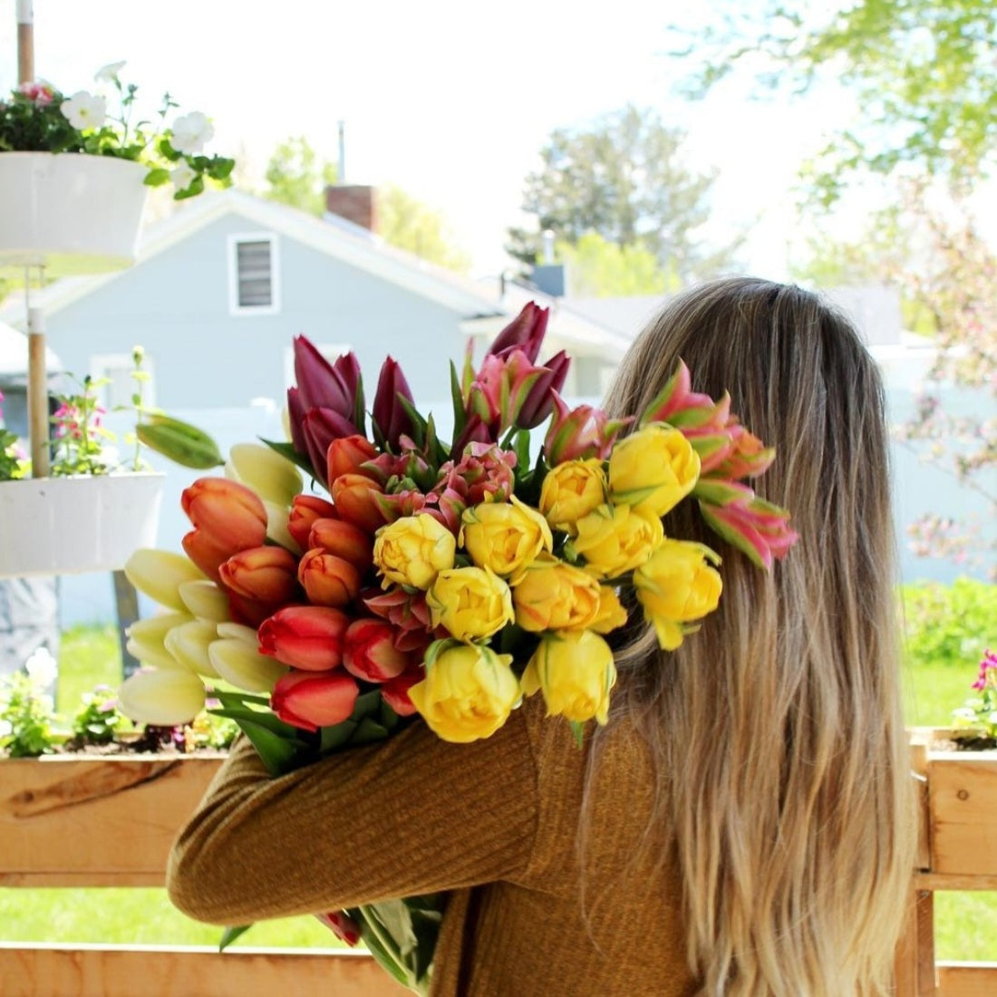 Fresh Farm Tulip Bundle